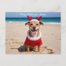 Search for merry christmas from florida postcards Beach