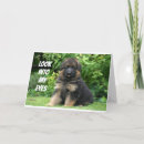 Search for adorable dog cards Photography
