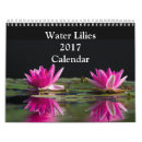 Search for lily office supplies Water lilies