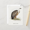 Search for griffon postcards Animal