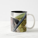 Search for gandalf mugs Gandalf the grey