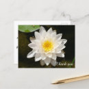 Search for waterlily thank you cards Pond