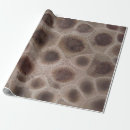 Search for michigan wrapping paper Great lakes