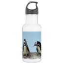 Search for penguin water bottles Nature