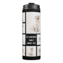Search for cat magic mugs photography