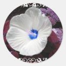Search for lace wedding stickers Flowers