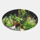 Search for garden herbs stickers Green