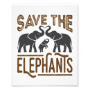 Search for save the elephant posters Elephants