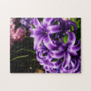 Search for hyacinth puzzles Flowers