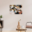 Search for 1909 posters Cat