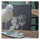 Search for seagull Wildlife