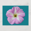 Search for weeds horizontal postcards Flower