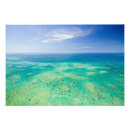 Search for great barrier reef posters Australasia