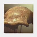 Search for homo magnets Primitive