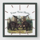 Search for black bear clocks Animal