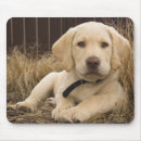 Search for small breed mousepads Puppy