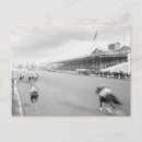 Search for vintage horse racing postcards Equestrian
