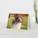 Search for male cousin birthday cards Dog