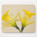 Search for planting daffodils electronics Flora