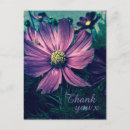 Search for light purple postcards Pretty