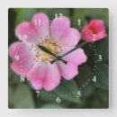 Search for hedge art Flower