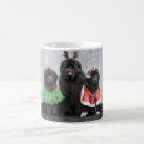Search for newfie mugs Newfy