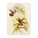 Search for painting rectangular magnets Drawing