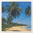 Search for rico barware Tropical