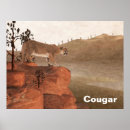 Search for concentration posters Animals