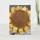 Search for yards cards Photography