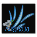 Search for marsupials posters Animals