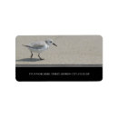 Search for sea birds return address labels Beach