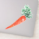 Search for carrot stickers Healthy