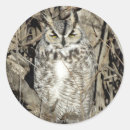 Search for great horned owls stickers Raptor