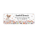 Search for rough labels Jack russell