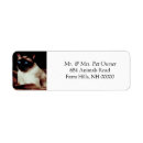 Search for siamese labels Feline