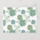 Search for patterns postcards Cactus