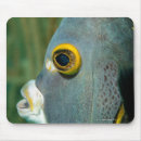 Search for on the wild side electronics Nature