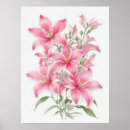 Search for stargazer posters Lilies