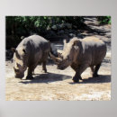 Search for rhino poster posters Nature