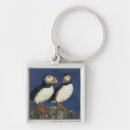 Search for puffin key rings Bird