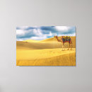 Search for camels canvas prints Sand dune