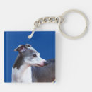 Search for iggy key rings Dog