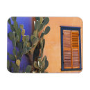 Search for blue window magnets Southwest