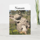 Search for position cards Namaste