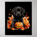 Search for black lab art Spider web