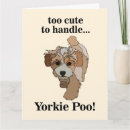 Search for yorkie cards Animal