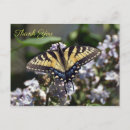 Search for tiger thank you cards Yellow