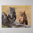 Search for larry ditto posters Kendall county