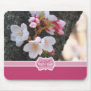 Search for blooming sakura tree Pink